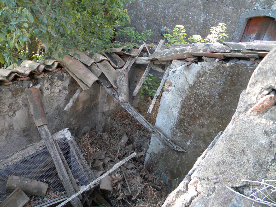 DSCN8016 .JPG